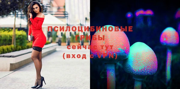 гидропоника Абаза